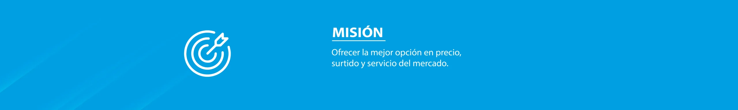 __Mision_Web